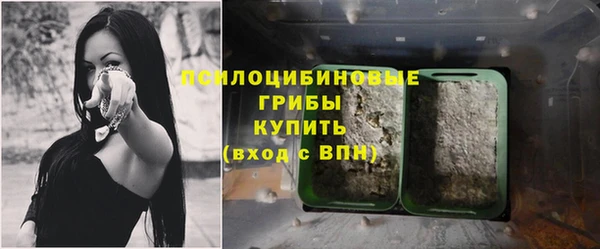a pvp Абдулино