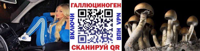Галлюциногенные грибы Psilocybe  MEGA tor  Галич 